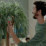 Juego De Mesa Camara Espia