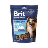Brit Premium Dog Snack Lamb With Seabuckthorn  Dog Treat  180 G