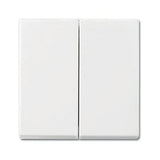 Busch Jaeger Bj 2505-914 Tecla Basculante Busch-Balance Si Blanco Alpino Cubiertas F.Interruptor Pulsador