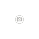 Bush Cst H21x