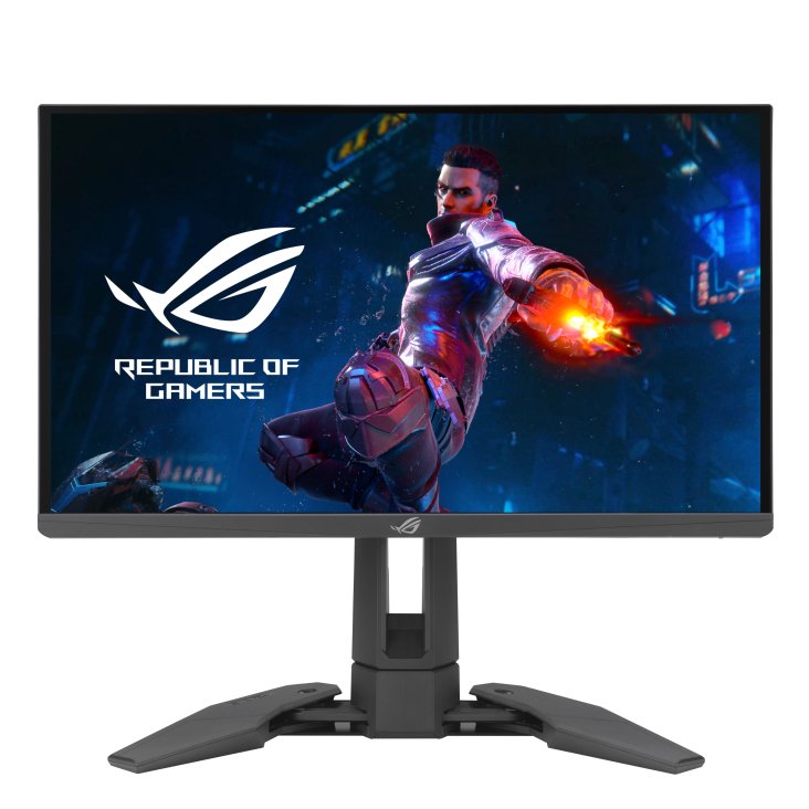 Monitor Asus Rog Swift Pg248qp  24,1 16:9 Fhd Hdmi Dp