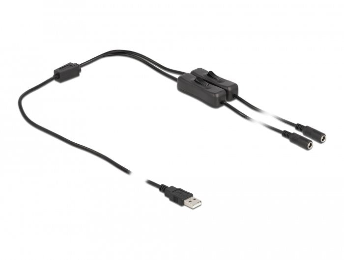 Delock Cable Usb Typ-A Macho A 2 X Dc 5,5 X 2,1 Mm Hembra 1 M