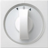 EAN 4010337666035 - GIRA 066603 placa de pared y cubierta de interruptor Blanco imagen 1