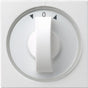 EAN 4010337666035 - GIRA 066603 placa de pared y cubierta de interruptor Blanco imagen 1