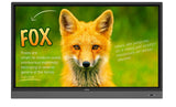 *Benq Rp653k