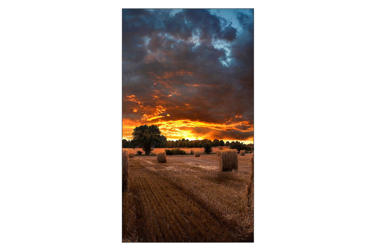 EAN 8806094366082 - Samsung VM46B-U LCD Interior imagen 3