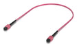 EAN 0810084697955 - Ubiquiti UACC-OFC-MA-MPMP-0.5M-10 Cable de fibra óptica e InfiniBand 0,5 m Rosa imagen 1