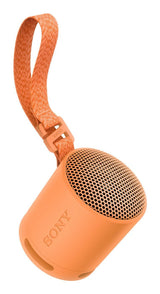Sony Srs-Xb100 Orange Altavoz Inalámbrico
