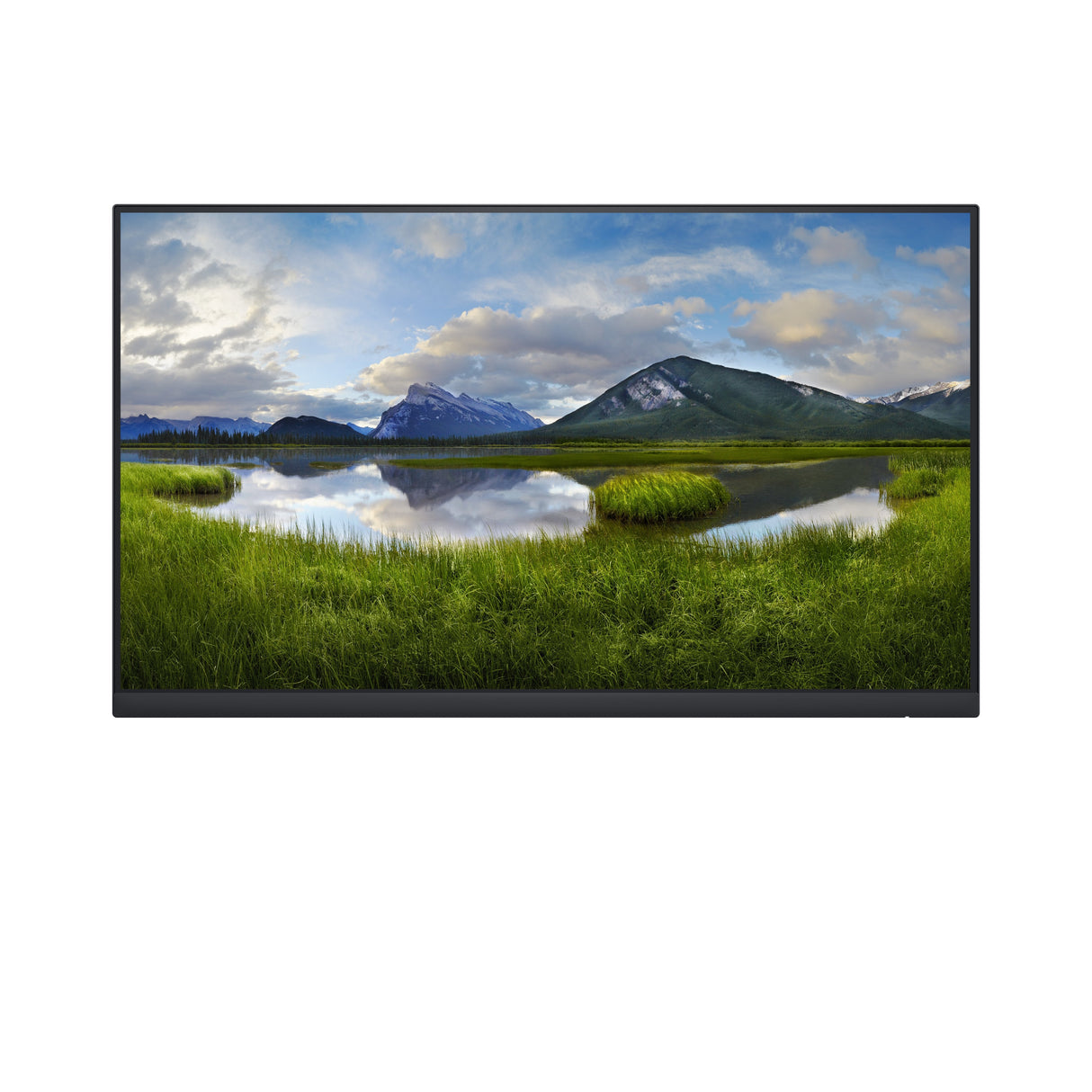 Monitor Dell 24 P2422h No Stand 1920x1080 Ips 16:9,Hdmi,Vga,Dp,Usb,5ms,Hö,Piv