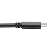 Tripp Lite U428-006