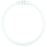Osram Leuchtstoff Ringlampe T5 Fc40w 840 2gx13 Circular