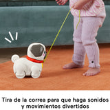 EAN 0194735199112 - Fisher-Price HTW94 juego educativo imagen 11