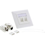 Caja Inline Cat.6a De Empotrar 2x Rj45 Blanco Ral9010