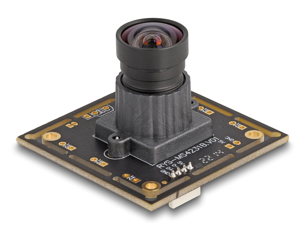 Delock Usb 2.0 Kameramodul 2.1 Megapixel 84° V6 Fixfokus