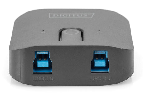 EAN 4016032480556 - Digitus DA-73300-2 interruptor automatizado imagen 4
