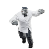 Set Figuras Hasbro Marvel Legends Series Wolverine Path & Hulk