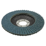 EAN 4006885565005 - wolfcraft GmbH 5650000 accesorio para amoladora angular Disco de láminas imagen 1