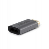 EAN 4002888410953 - Lindy 41095 cambiador de género para cable DisplayPort HDMI Type A Gris imagen 1