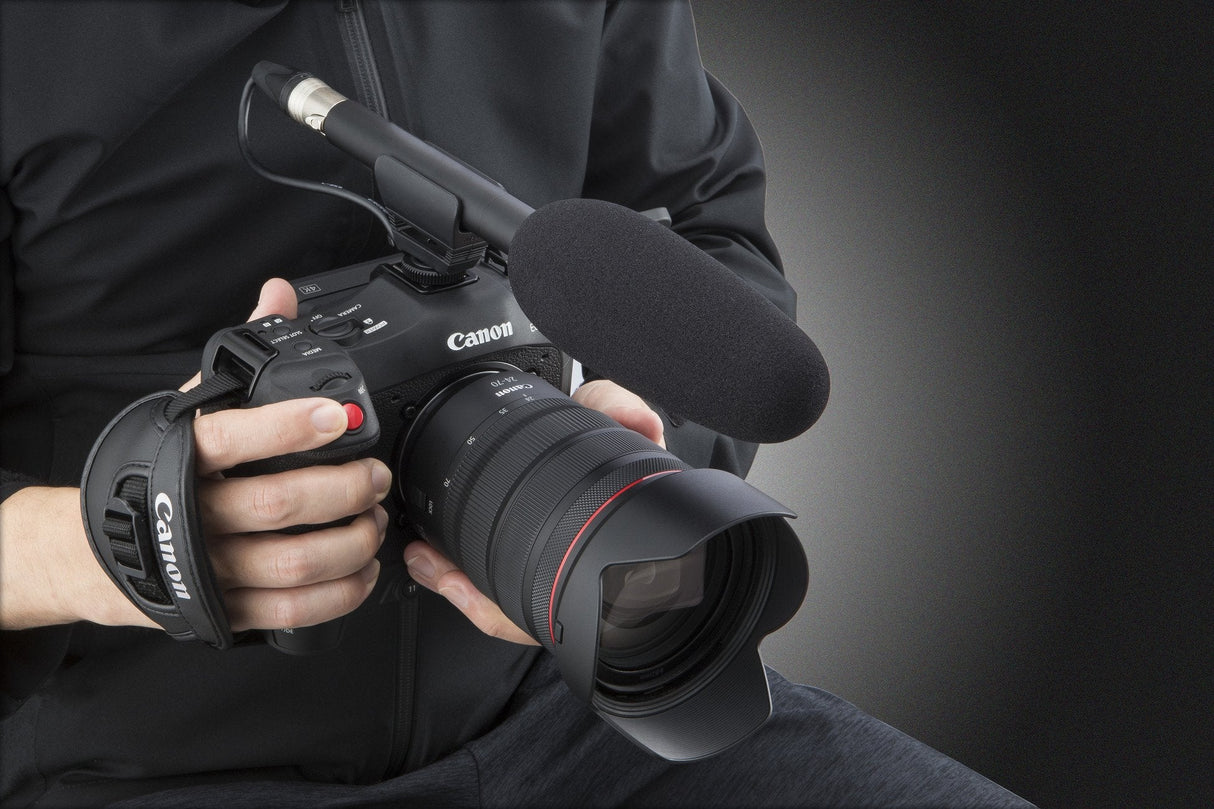 Canon Cinema Eos C70 Videocámara Manual 9,6 Mp 4k Ultra Hd Negro
