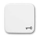 EAN 4011395113400 - Busch-Jaeger 2520 TR-214 Blanco imagen 1