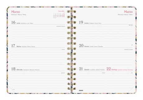 EAN 8422952405610 - Finocam 760042826 agenda Agenda semanal Multicolor imagen 4