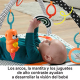 EAN 0194735000319 - Fisher-Price HBP41 gimnasio para bebé y tapete de juego Tela, Plástico Multicolor Gimnasio para bebés imagen 12