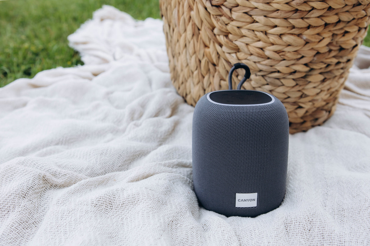 Canyon Bluetooth Speaker Bsp-8 Tf Reader Usb-C 10w Gris Retail