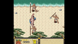 Juego Aero The Acro-Bat Legacy + Sunsoft Lost Gems One Edition - Switch Switch