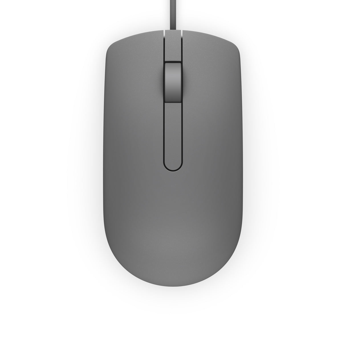EAN 5704174208242 - DELL MS116 ratón Ambidextro USB tipo A Óptico 1000 DPI imagen 3