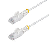 Cable Ethernet Cat6 Delgado Cabl