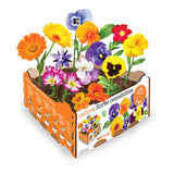 Caja De Flores Comestibles Batlle