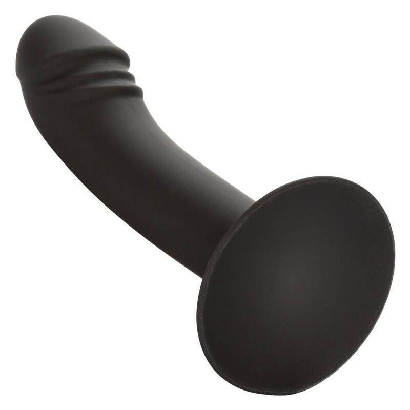 Calexotics - Curved Anal Stud