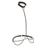 Calexotics - Euphoria Collar Halter Y Correa Con Cadena