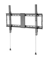 Basic Large Wall Mount