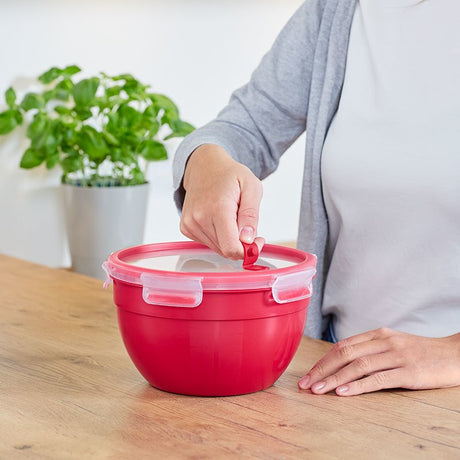 EAN 4009049532264 - EMSA N10605 Alrededor Caja 1,1 L Rojo, Transparente 1 pieza(s) imagen 4