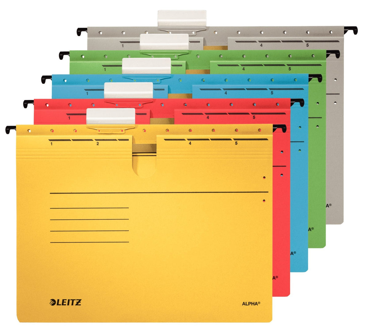 Esselte Leitz Alpha - Carpeta Colgante - Para A4 (210 X 297