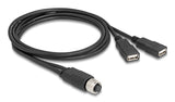 Delock M12 Cable A-Kodiert 8 Pin Buchse Zu 2 X Usb 2.0 Typ-A Buchse 1 M Schwarz