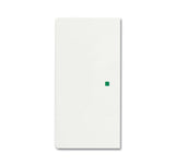 Busch Jaeger Bj 6230-20-884 Wippe 2f Studioweiss-Matt Busch-Free@Home Future Linear