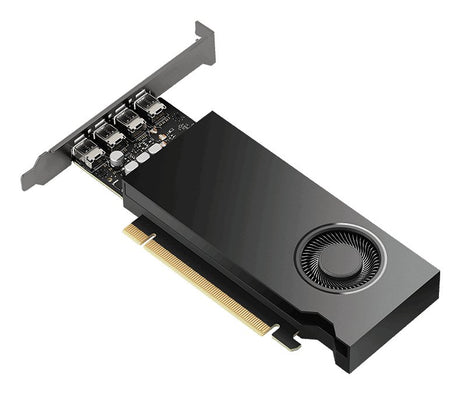 EAN 3536403400934 - PNY VCNRTX2000EADA-PL tarjeta gráfica NVIDIA RTX 2000E Ada 16 GB GDDR6 imagen 2