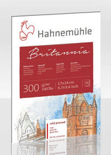 Hahnemühle Britannia Watercolour Cold Pressed 24x32cm 300g 12 Sh.