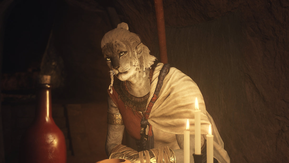 Juego Sony Ps5 Dragon S Dogma Ii Standar Ed.