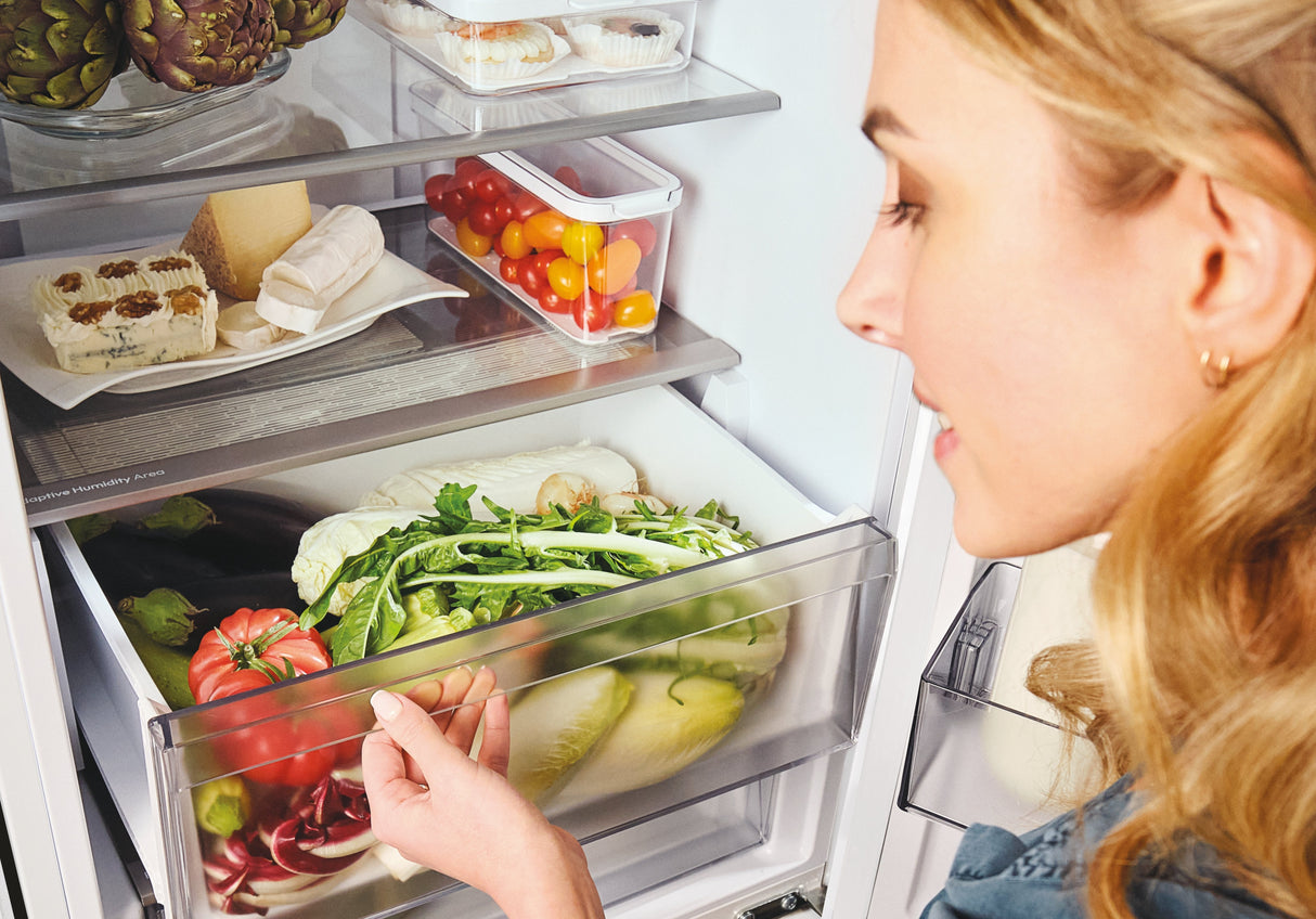 Cncq2t620dw Candy       Fridge