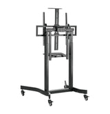 EAN 8716309129046 - Gembird Stojak pod tv z regulacj wysokoci mobilny 55-100 cali imagen 2