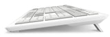 Sharkoon Officepal K30w, Teclado Blanco, Desaprobación, Scratch Ddomes 4044951042340