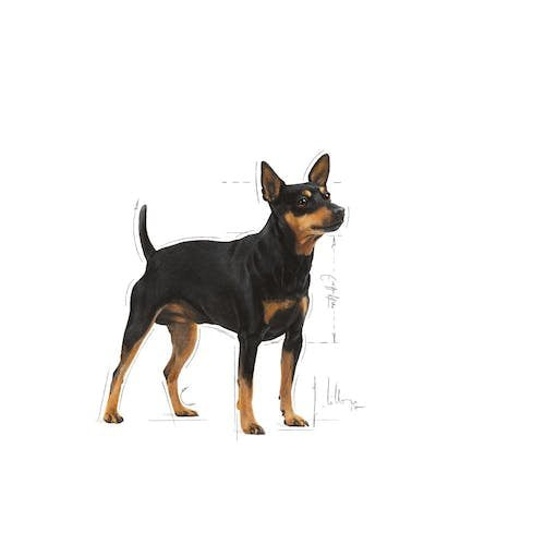 EAN 9003579008775 - Royal Canin Digestive Care Carnes, Vegetal Universal 85 g imagen 3