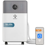 Deshumidificador Grunkel Dh-16dt Depósito 2l