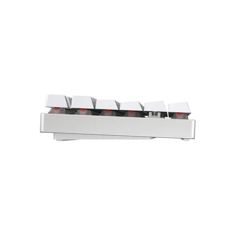 Cherry Xtrfy Mx 8.2 Wireless Teclado Rgb De Mx Rojo Tkl 80%