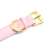 Collar Con Cascabel Golden Kitty Cat
