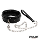 Collar Con Correa Acolchado