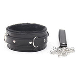 Collar Con Correa Negro